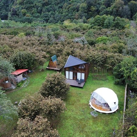 Dumbo Eco Camp Otel Ozurget'i Dış mekan fotoğraf