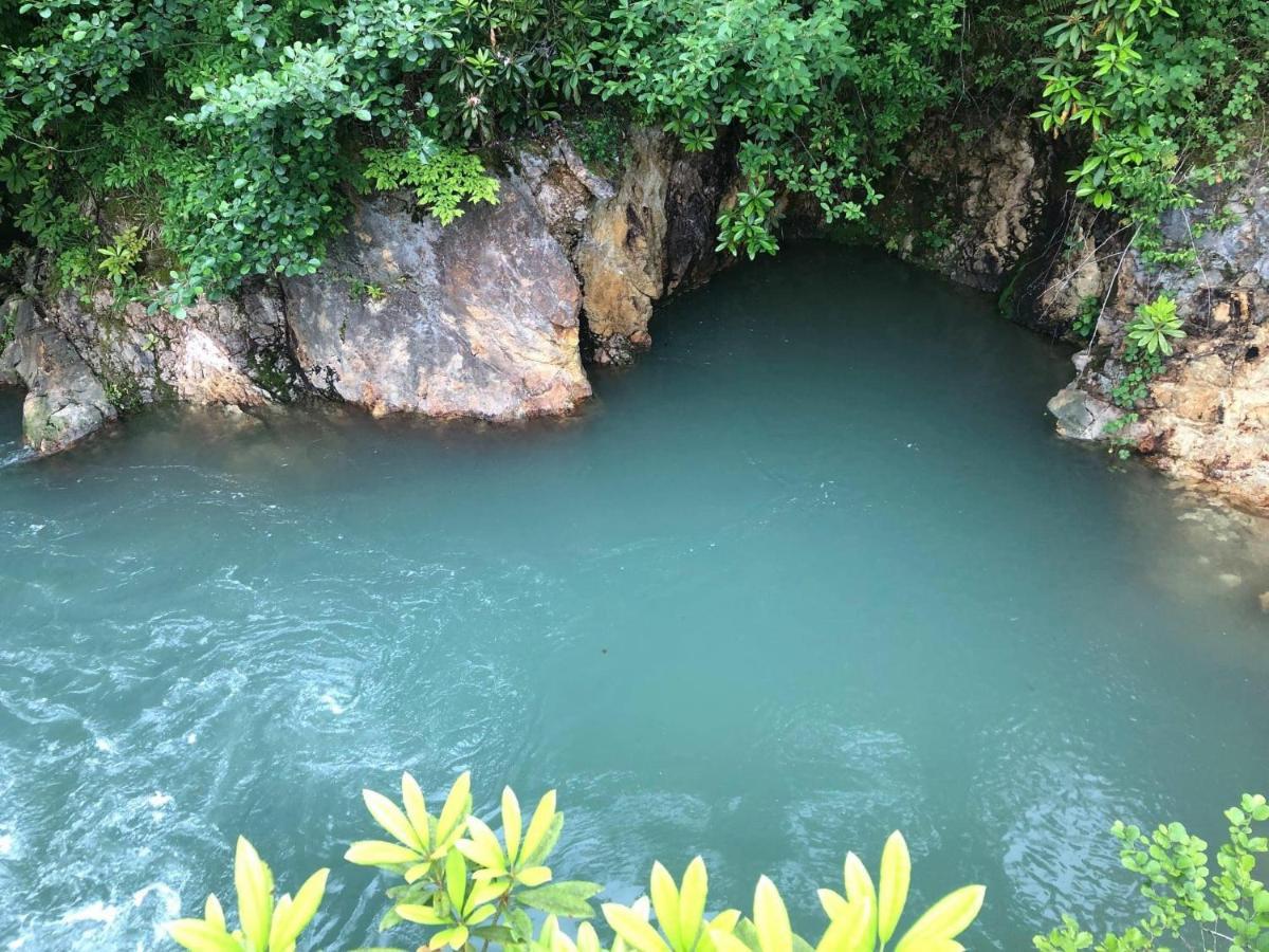 Dumbo Eco Camp Otel Ozurget'i Dış mekan fotoğraf