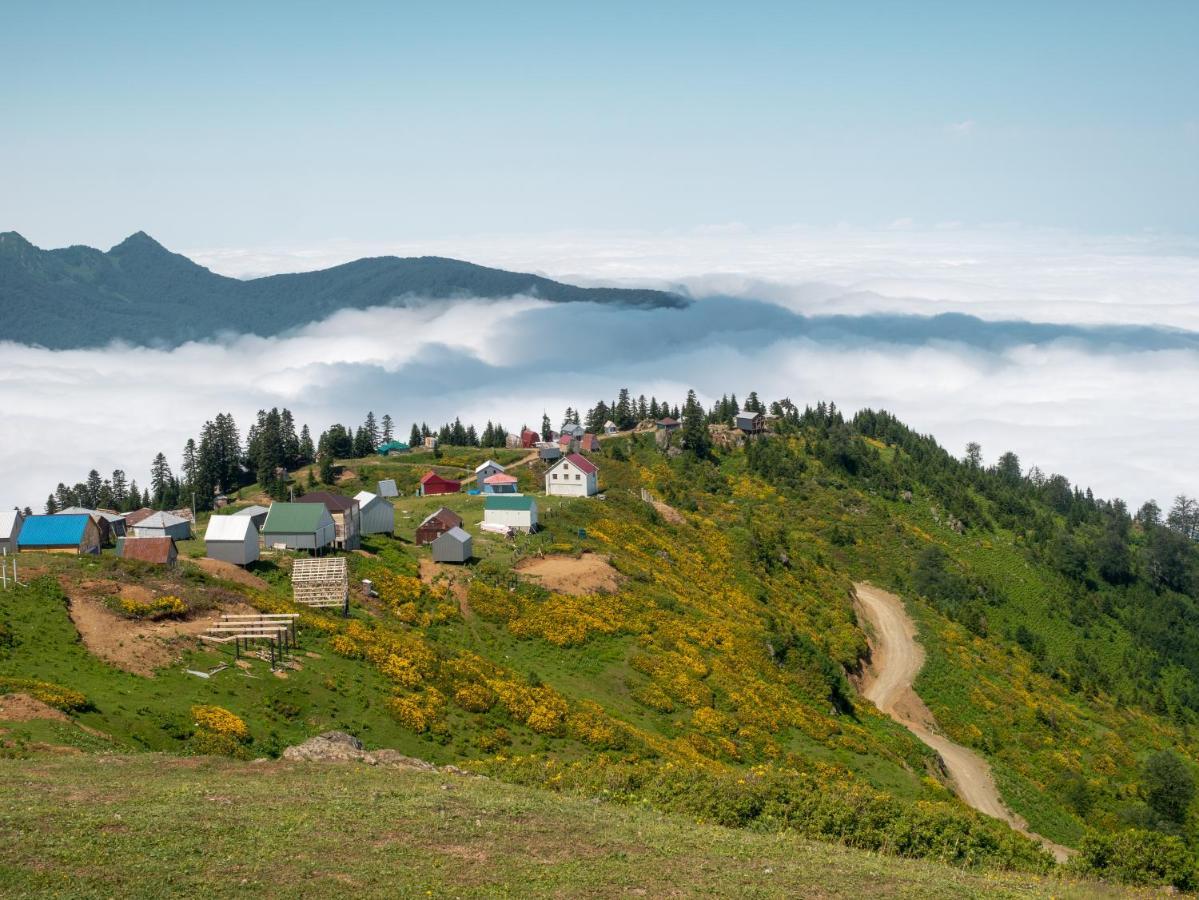 Dumbo Eco Camp Otel Ozurget'i Dış mekan fotoğraf