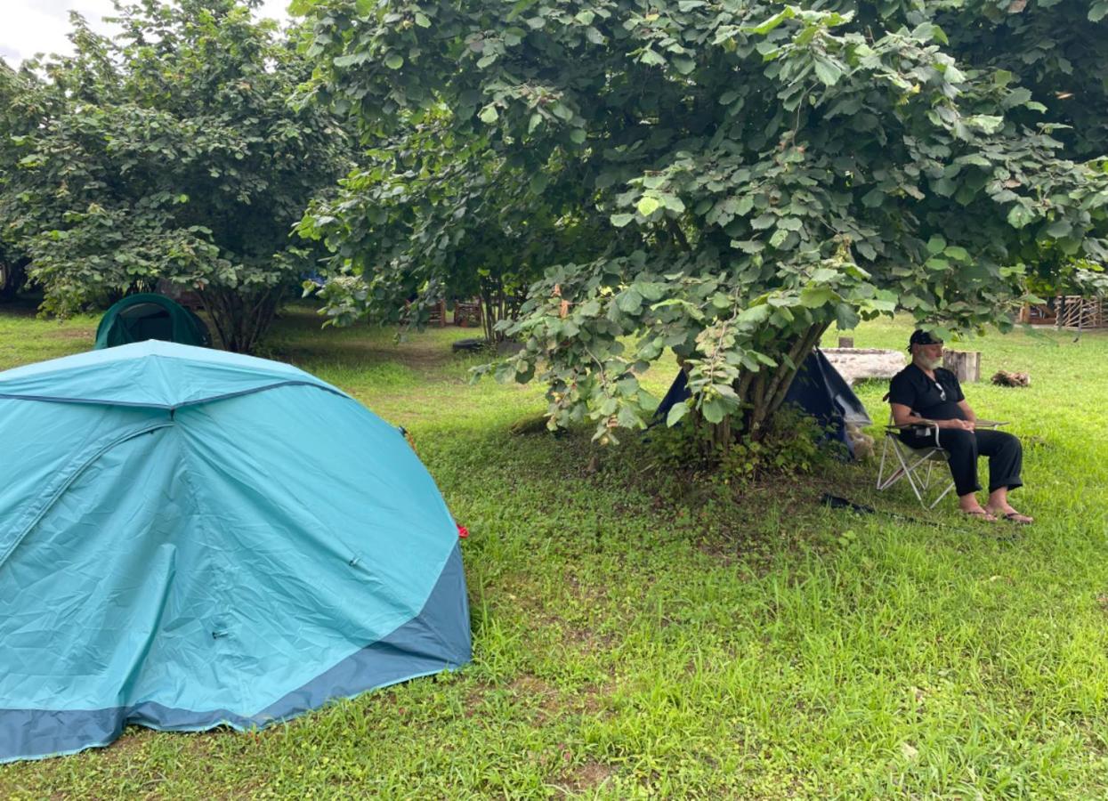 Dumbo Eco Camp Otel Ozurget'i Dış mekan fotoğraf