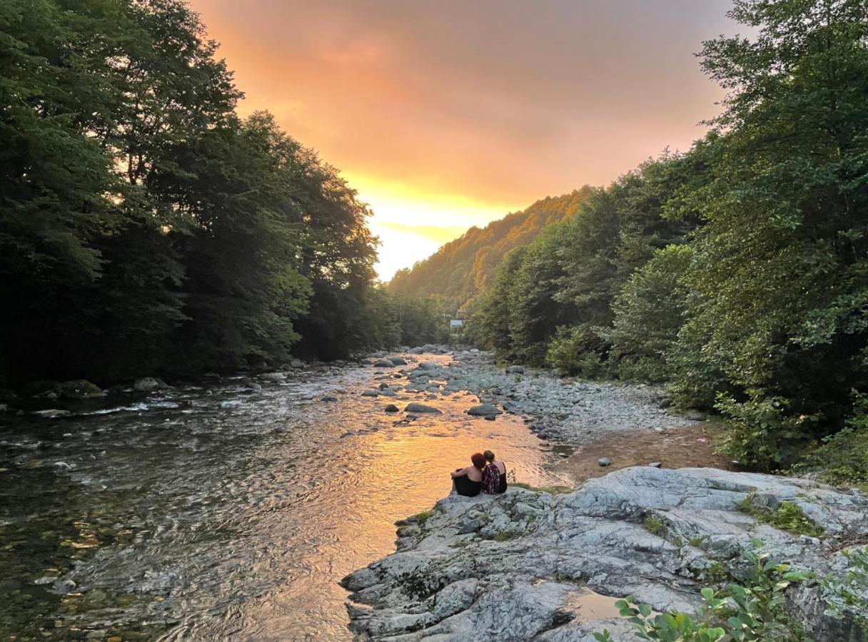 Dumbo Eco Camp Otel Ozurget'i Dış mekan fotoğraf