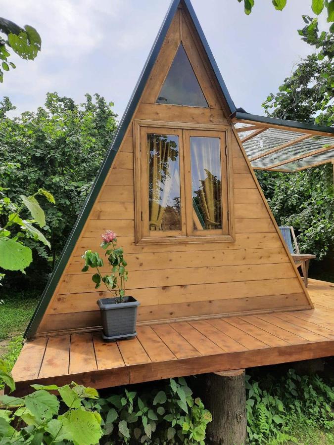 Dumbo Eco Camp Otel Ozurget'i Dış mekan fotoğraf