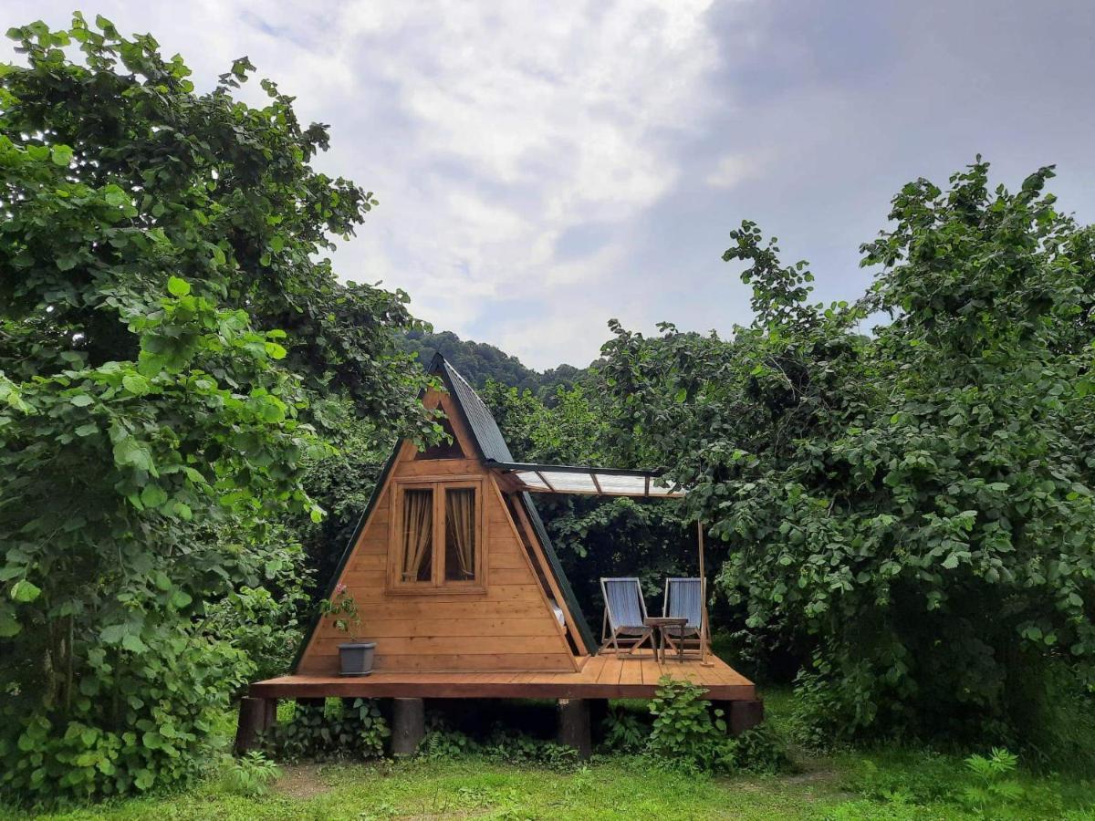 Dumbo Eco Camp Otel Ozurget'i Dış mekan fotoğraf
