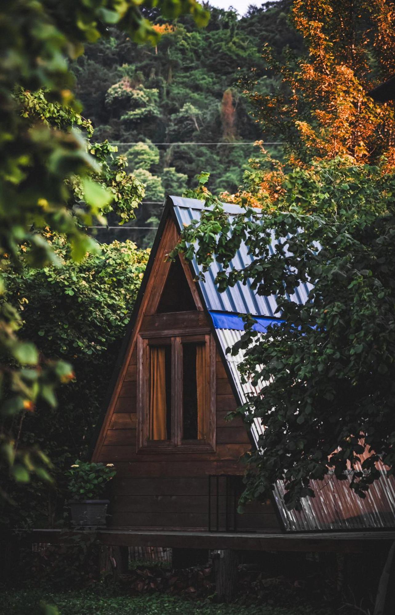 Dumbo Eco Camp Otel Ozurget'i Dış mekan fotoğraf